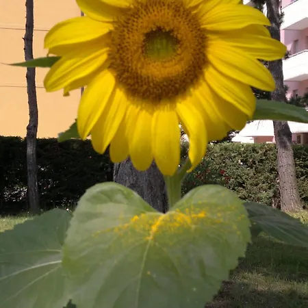 Hotel Golf ***s Bibione