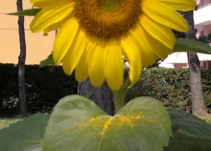 호텔 Golf ***s 비비오네